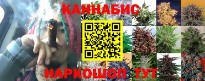 мдпв Беслан