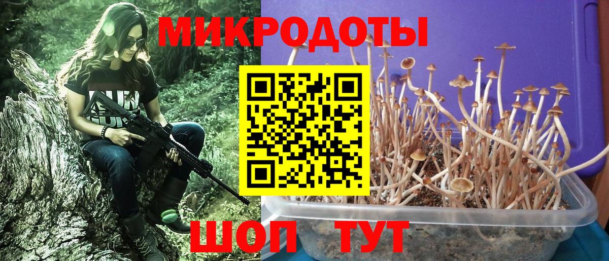 Псилоцибиновые грибы мицелий  Вход с VPN  Псилоцибиновые грибы GOLDEN TEACHER  Карпинск 